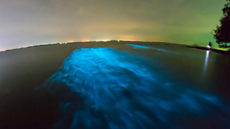 Milky Sea