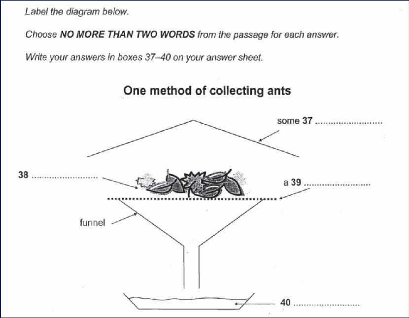 Reading051-Lesson.jpg