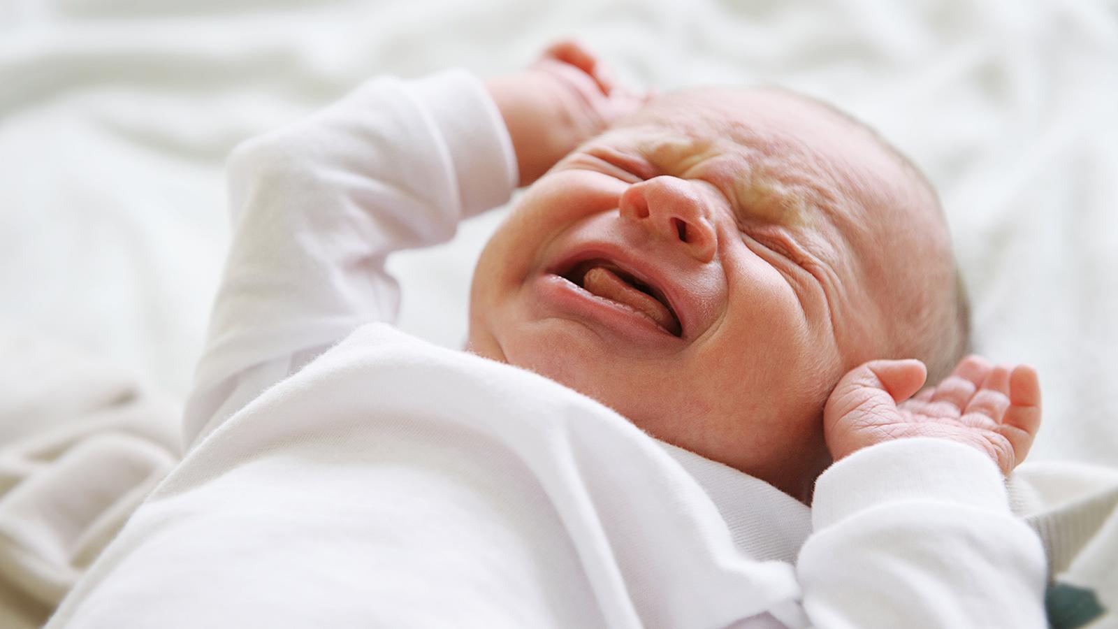 baby3