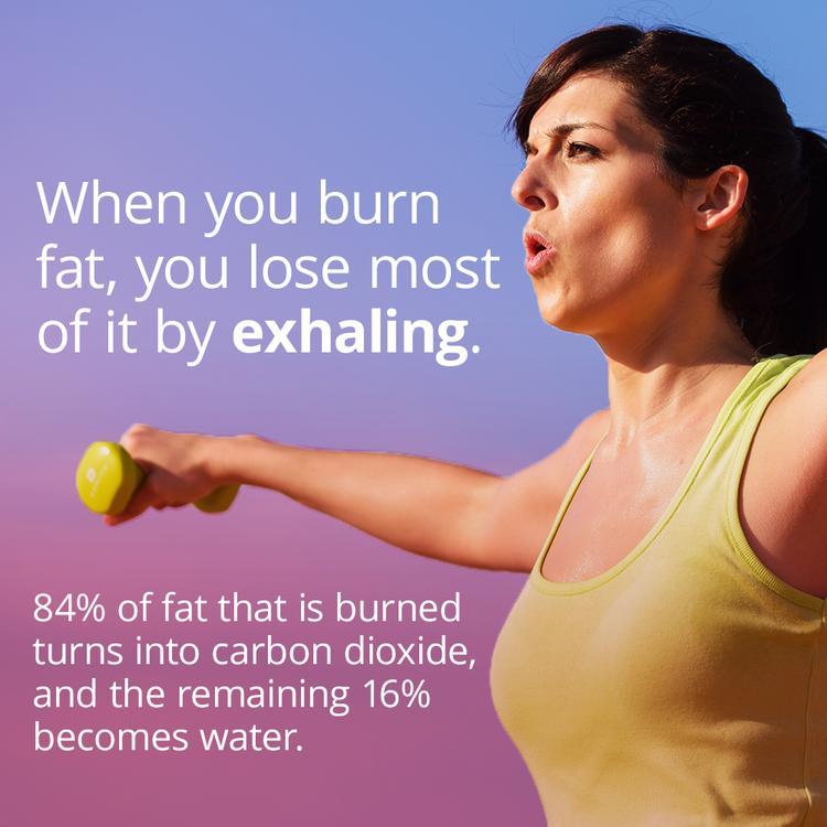 fatburn4