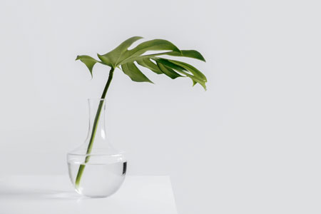 Try Minimalism