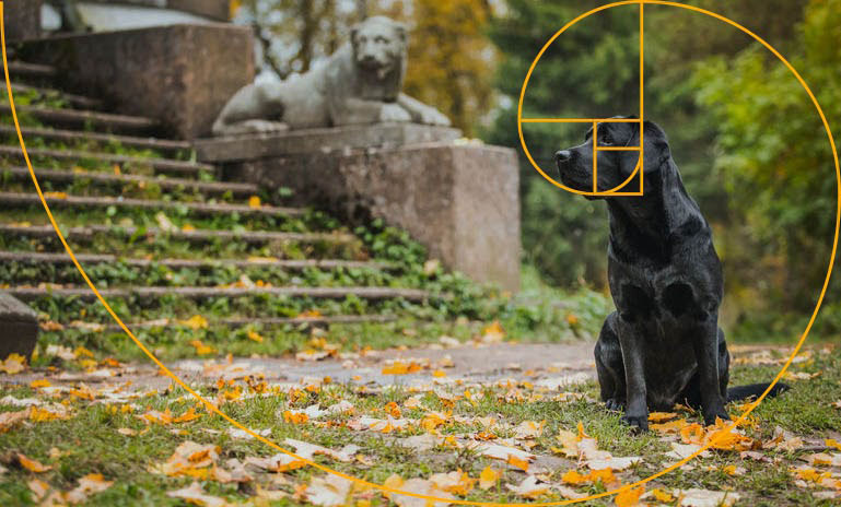 fibonacci1