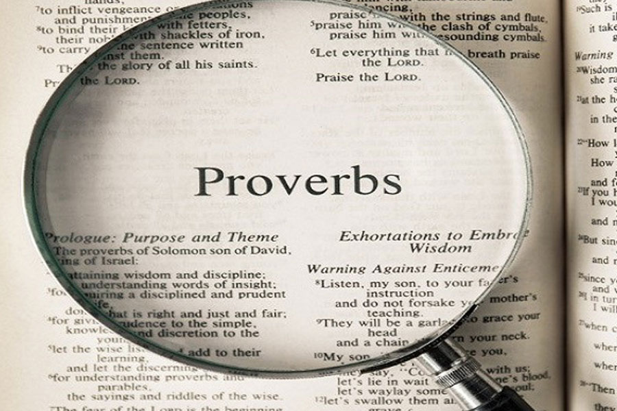 Can You Use Quotes or Idioms in Your IELTS Essay? 